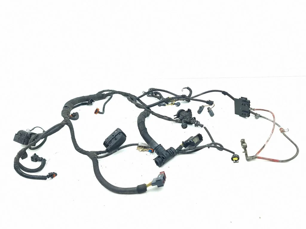 Engine installation wiring loom