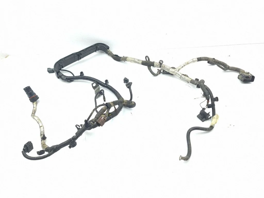 Engine installation wiring loom P04560230AF