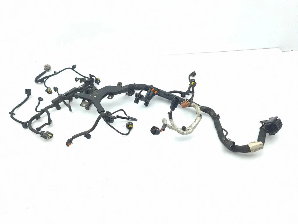 Engine installation wiring loom 48852022F