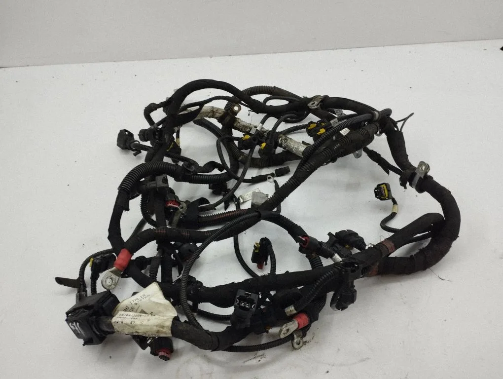 Engine installation wiring loom 245268