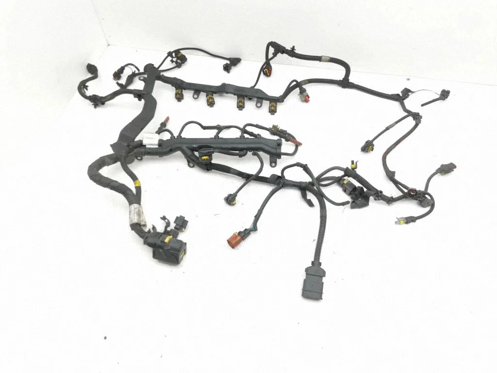 Engine installation wiring loom 5526149