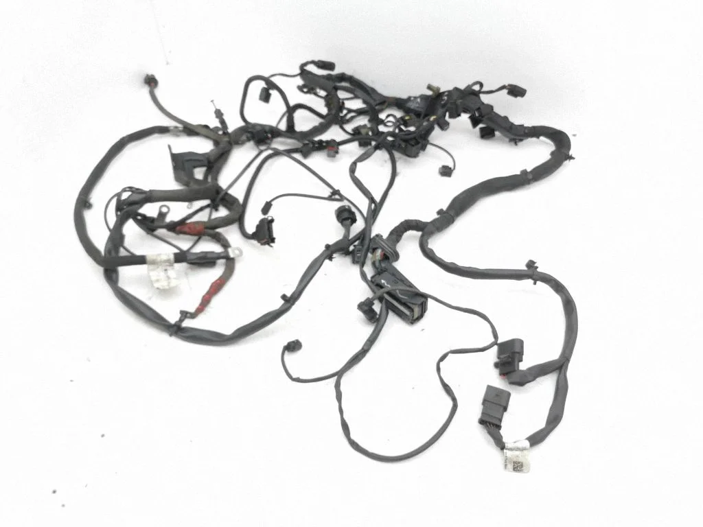 Engine installation wiring loom