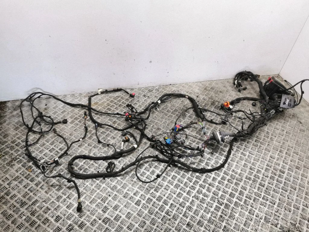 Engine installation wiring loom 964T086080