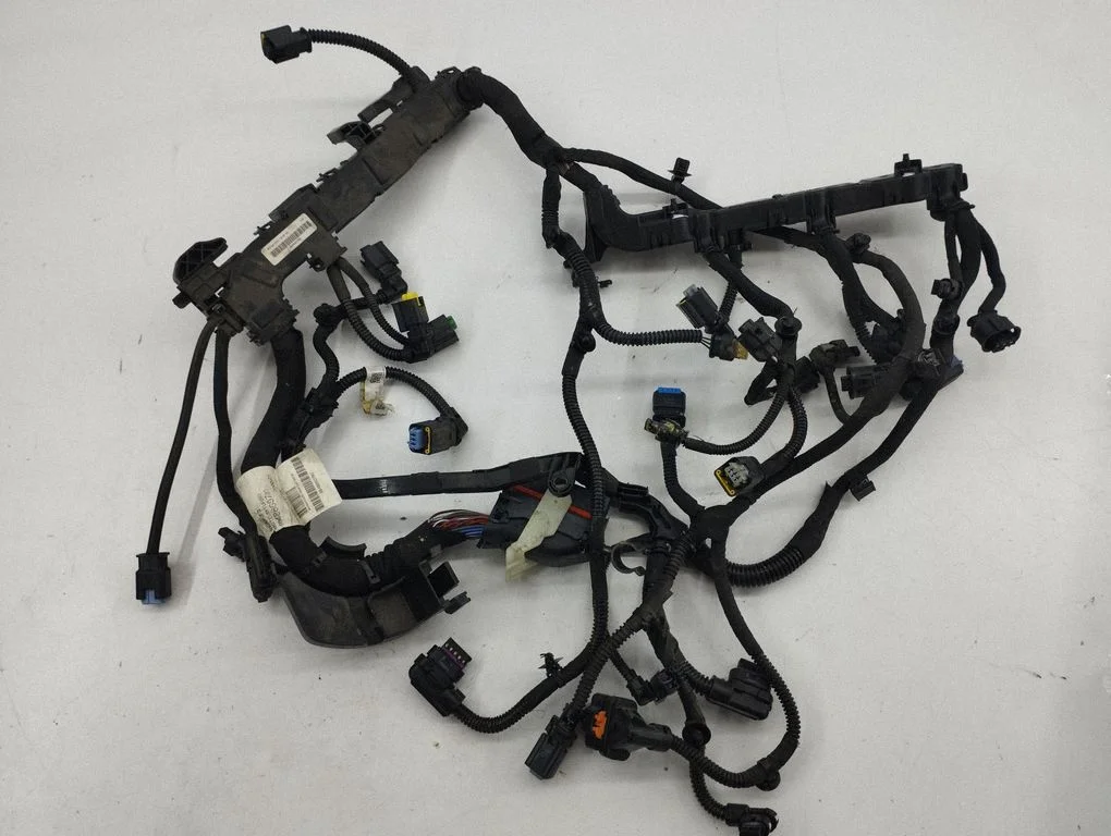 Engine installation wiring loom 9800119980