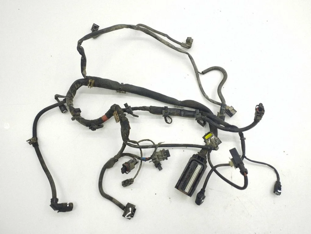 Engine installation wiring loom 0005452584