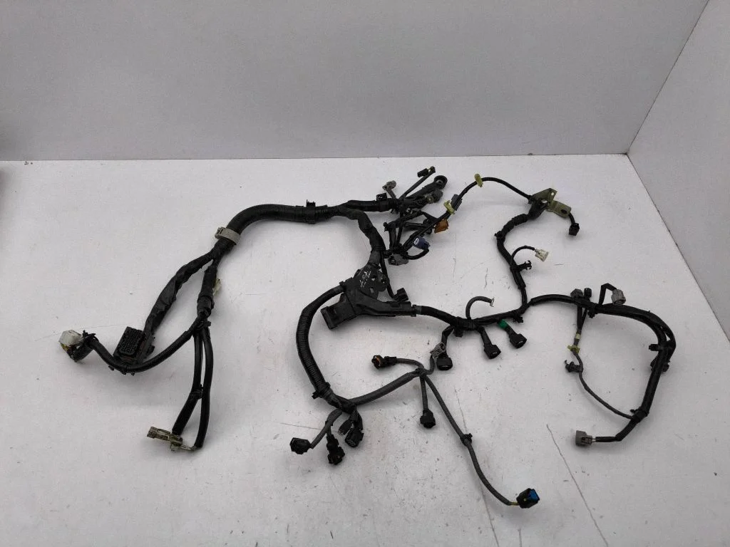 Engine installation wiring loom 3665086R00