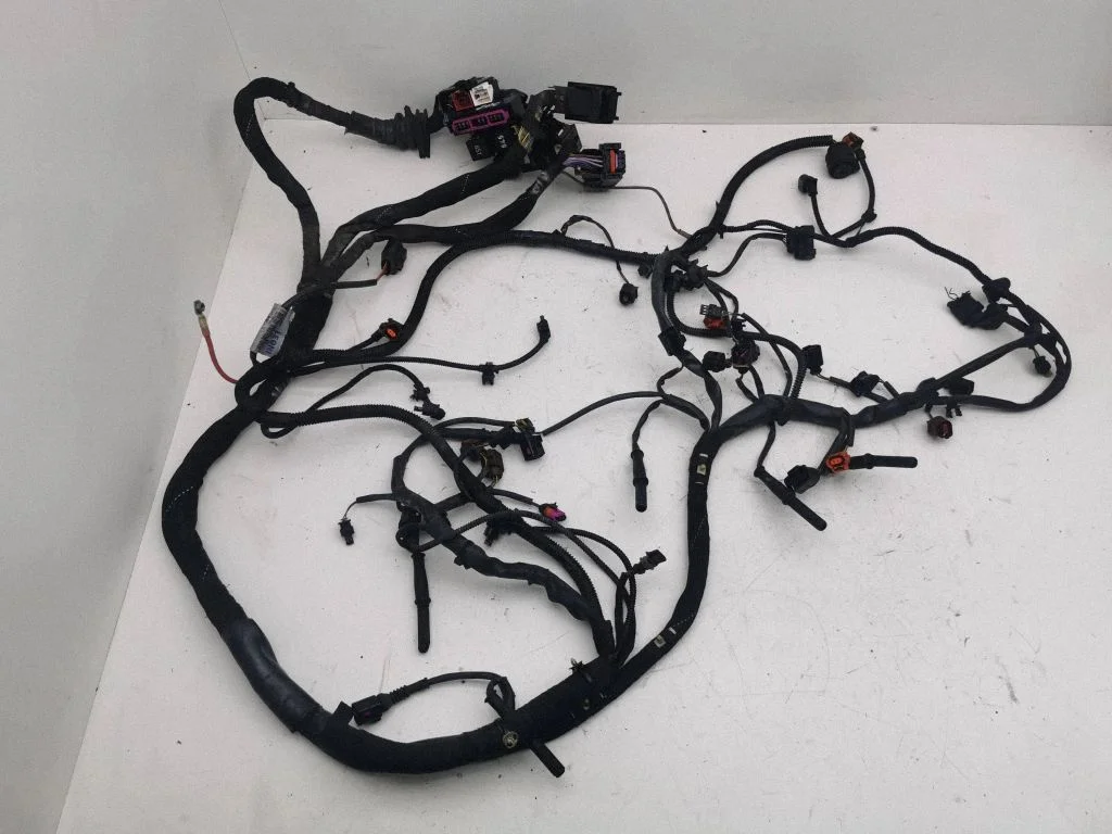 Engine installation wiring loom 4G2971072GC