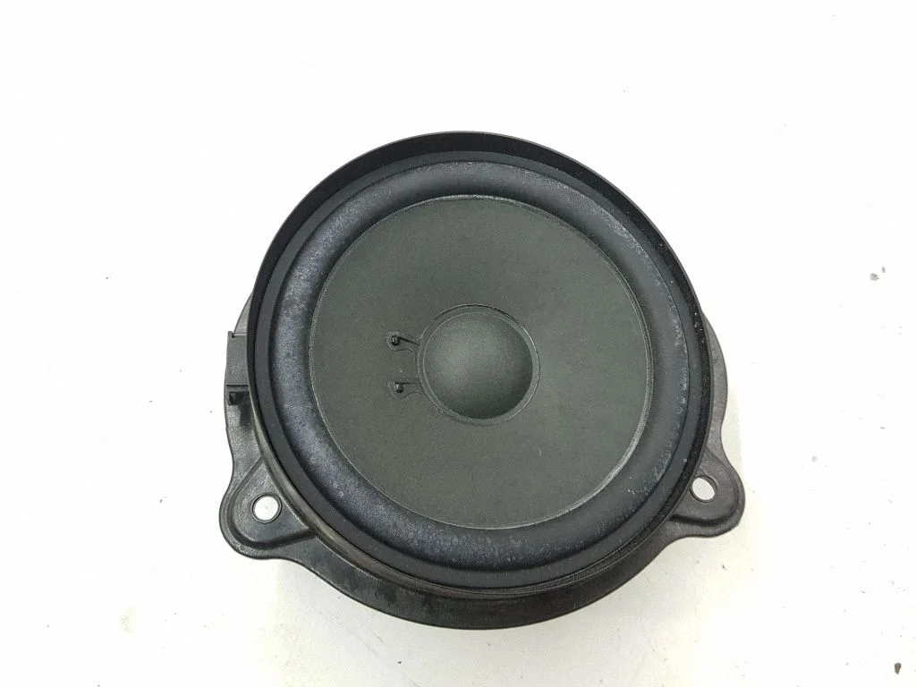 Rear door speaker A2198200502