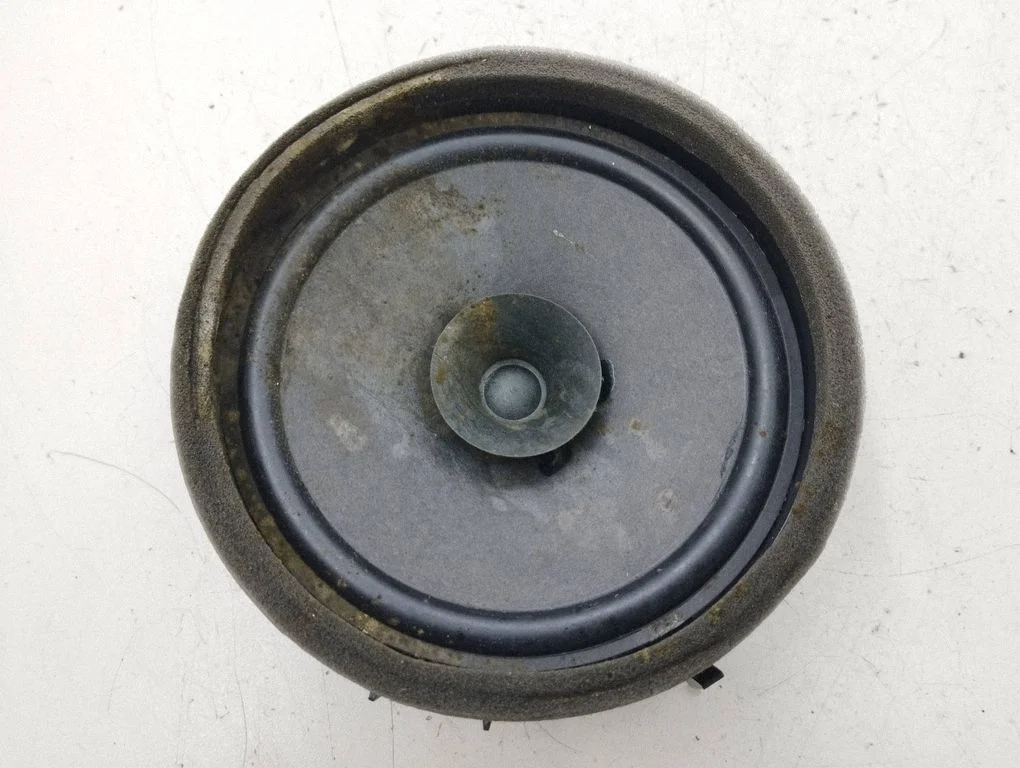 Rear door speaker