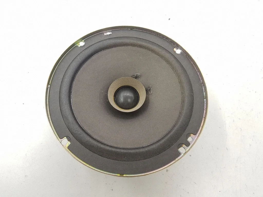 Rear door speaker 6025301084C