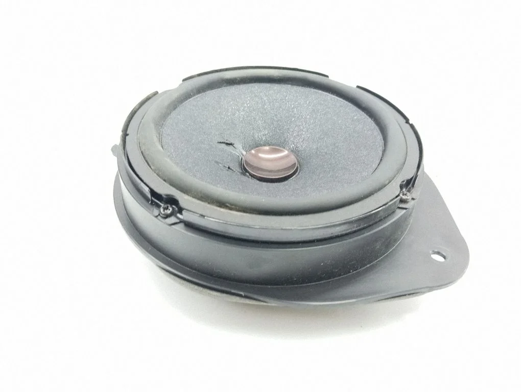 Skaļrunis (-ņi) aizmugurējās durvīs TSA173CI