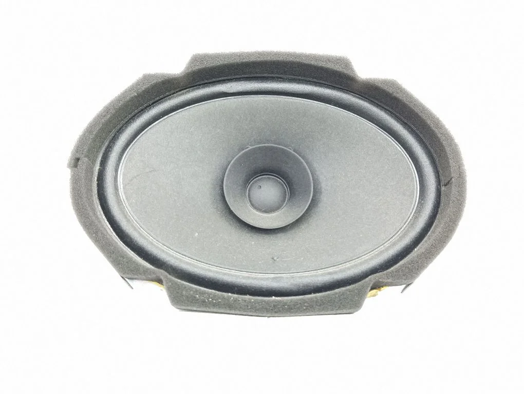 Głośnik w drzwiach tylnych C24366960