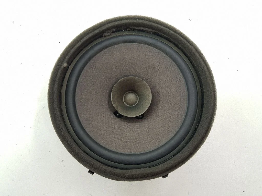 Rear door speaker