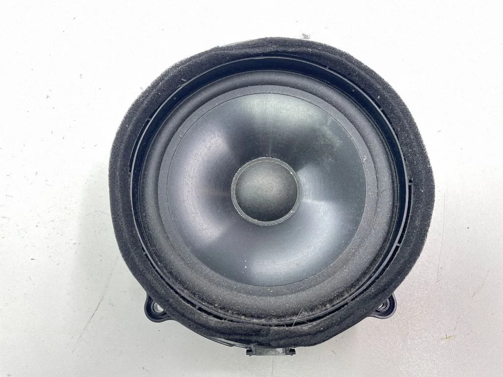 Rear door speaker XQM500510