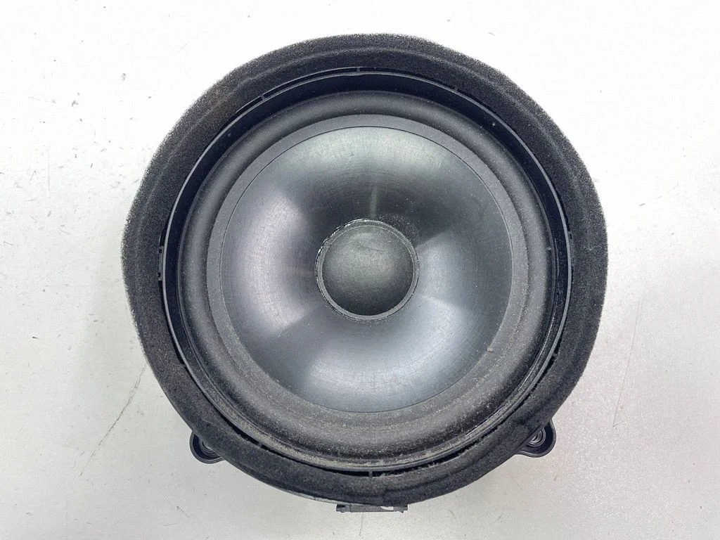 Rear door speaker XQM500510