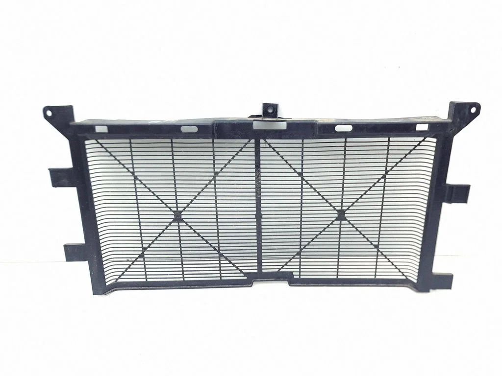 Radiator trim 214963NL1B