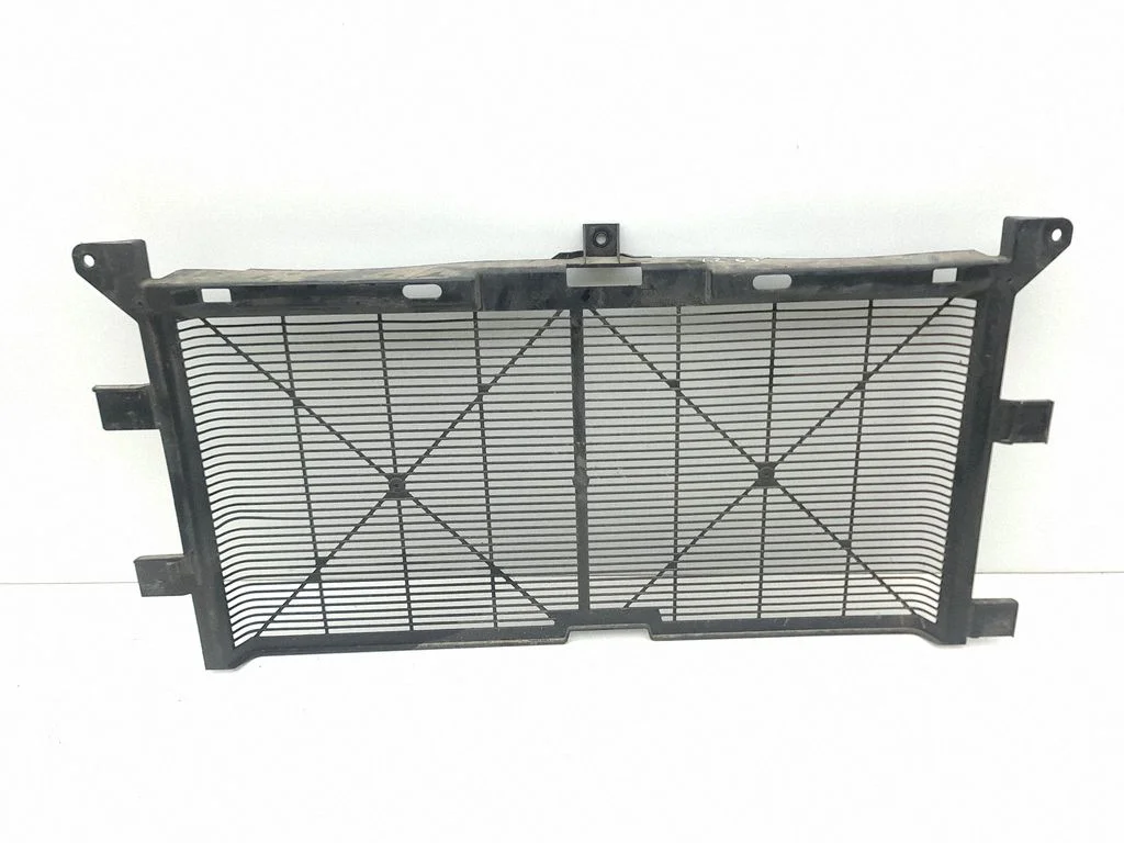 Radiator trim 214963NL1B