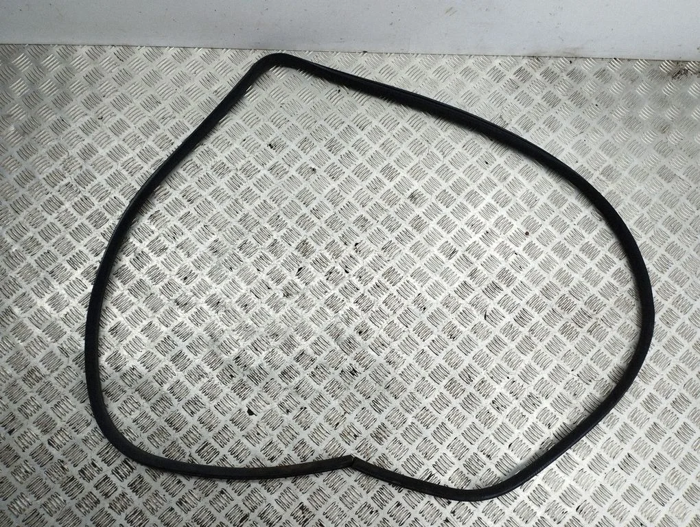 Rubber seal front door (on door) – front left