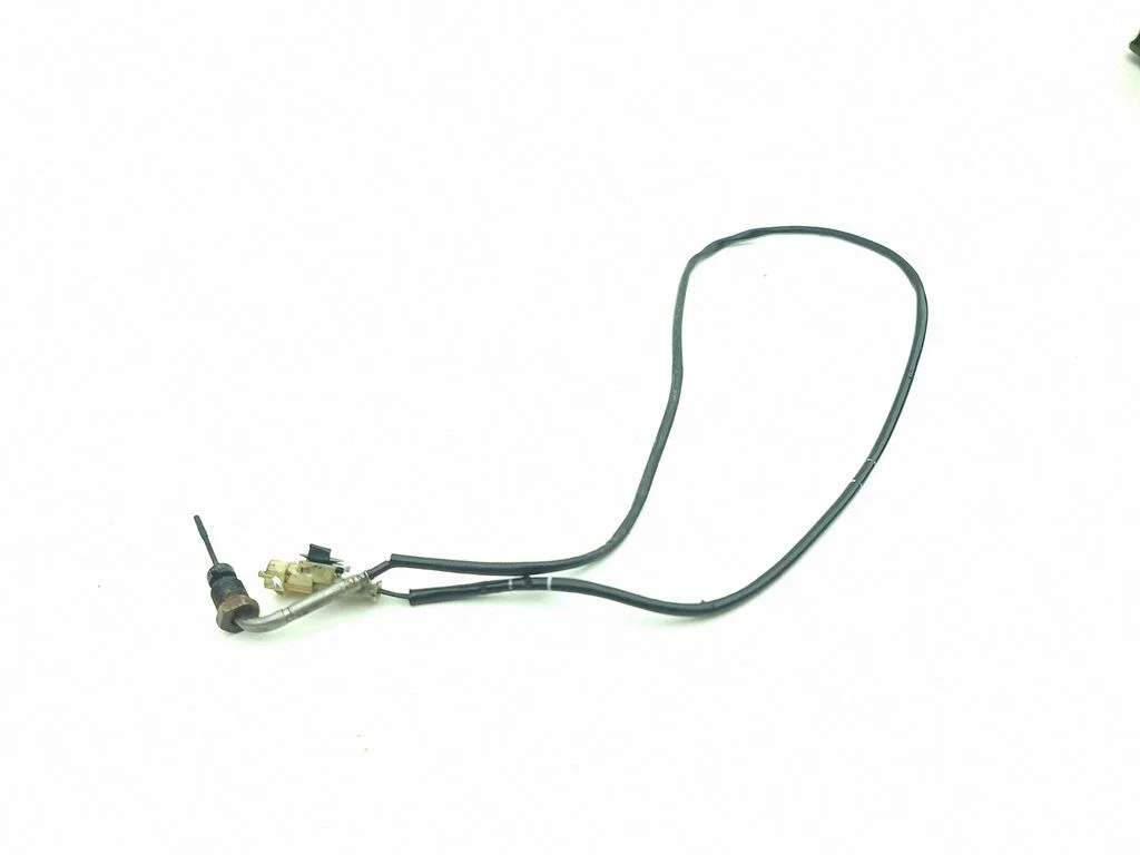 Heitgaasi temperatuuriandur 53284358
