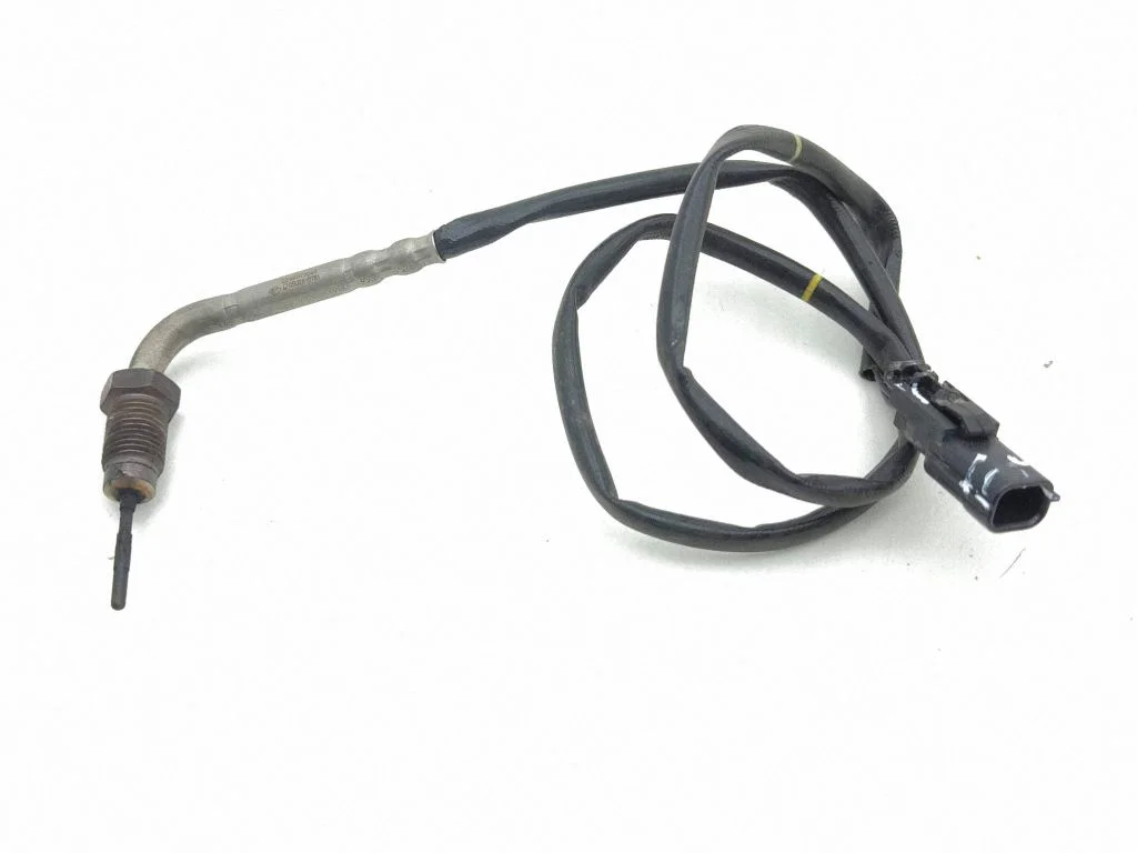 Heitgaasi temperatuuriandur 226401704R