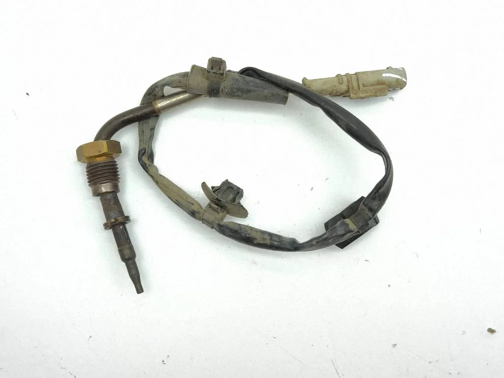 Heitgaasi temperatuuriandur 3926003410