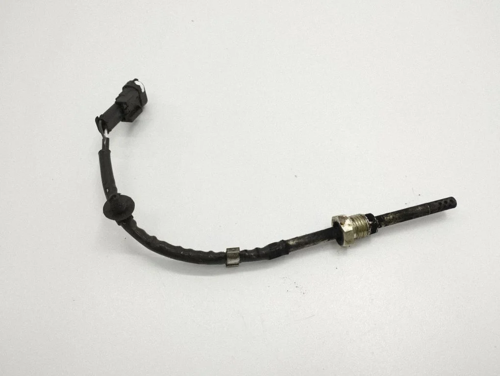 Exhaust gas temperature sensor