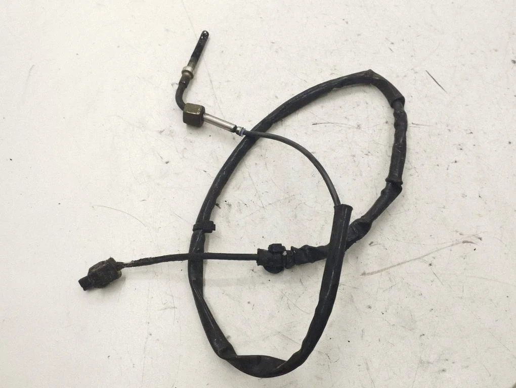 Exhaust gas temperature sensor
