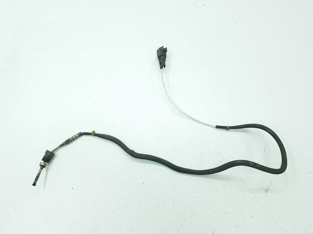 Heitgaasi temperatuuriandur – Ford Mondeo MK V (2014-)
