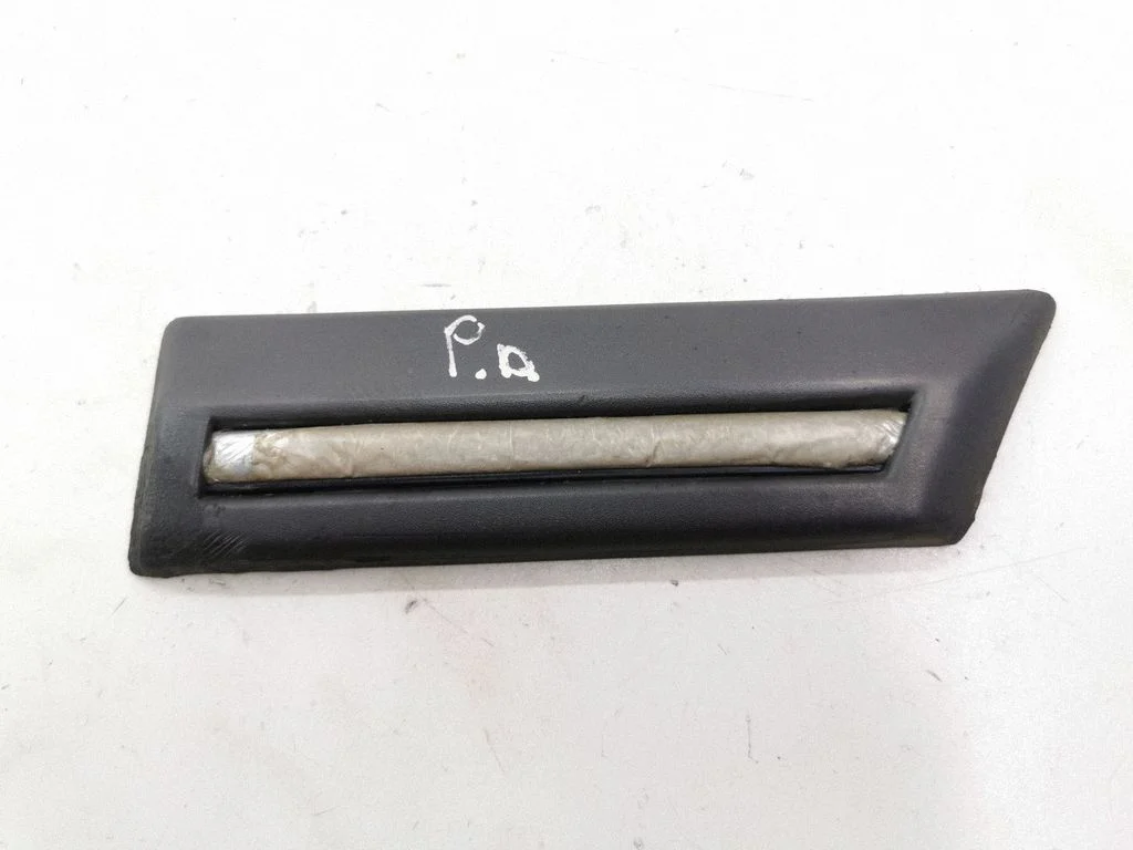 Fender trim (molding) G97100
