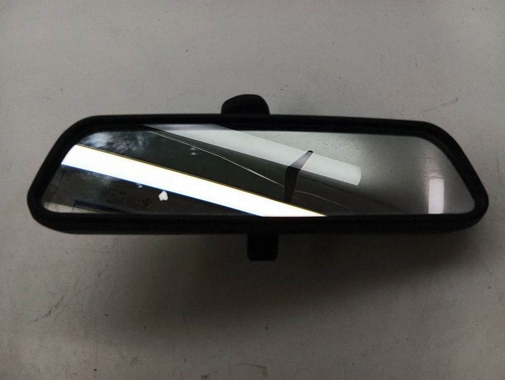 Rear view mirror (interior) E6006199