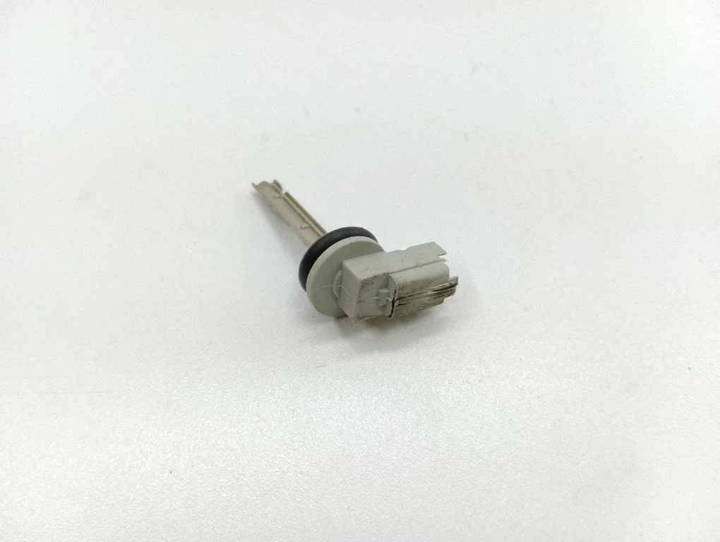 Salongi temperatuuri andur