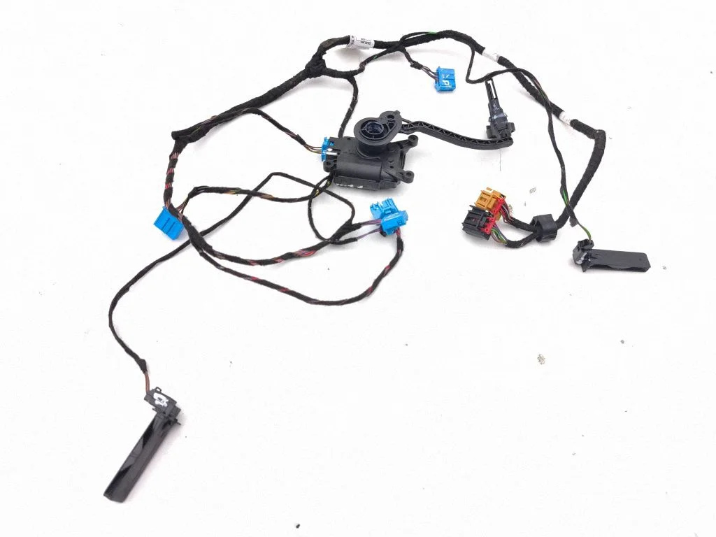 Other wiring loom 1EA971566P