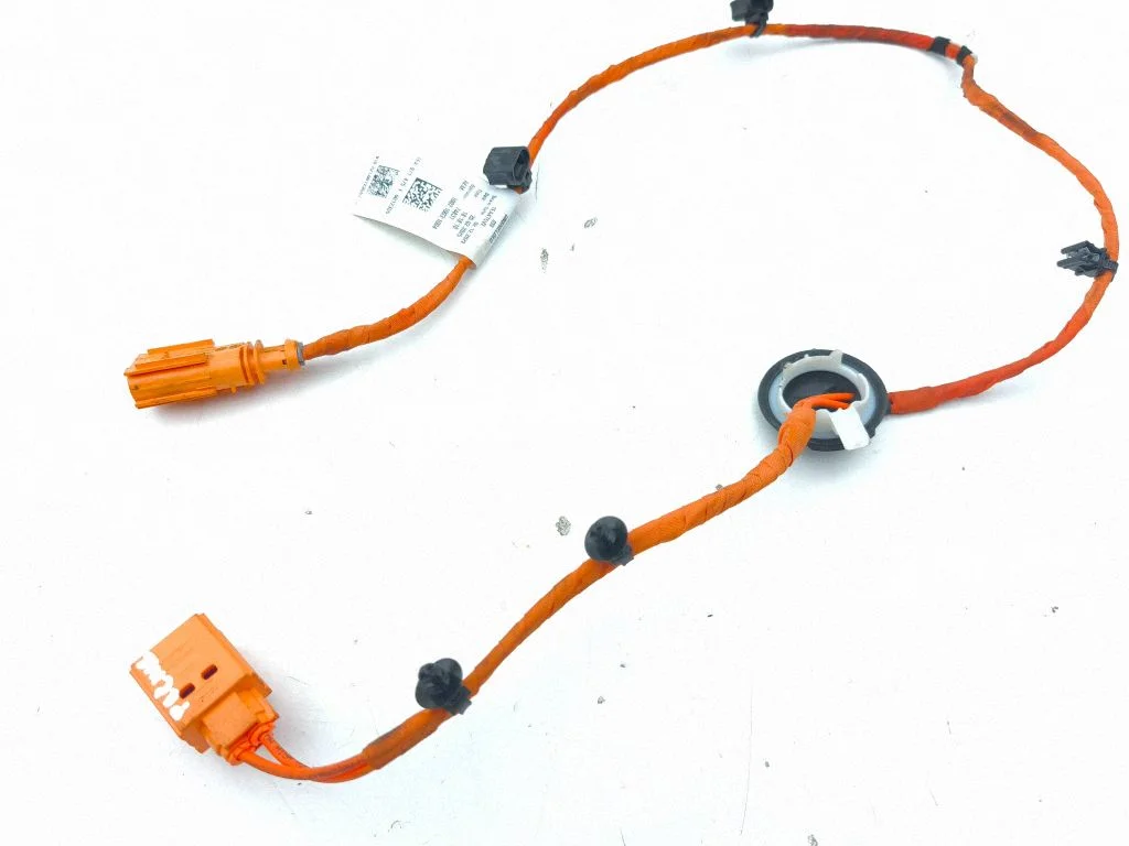 Other wiring loom 1EA971475F