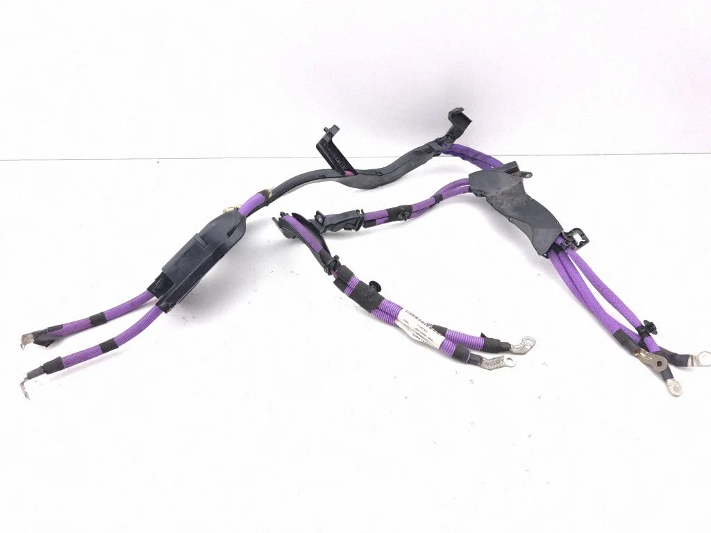 Other wiring loom 9848020280
