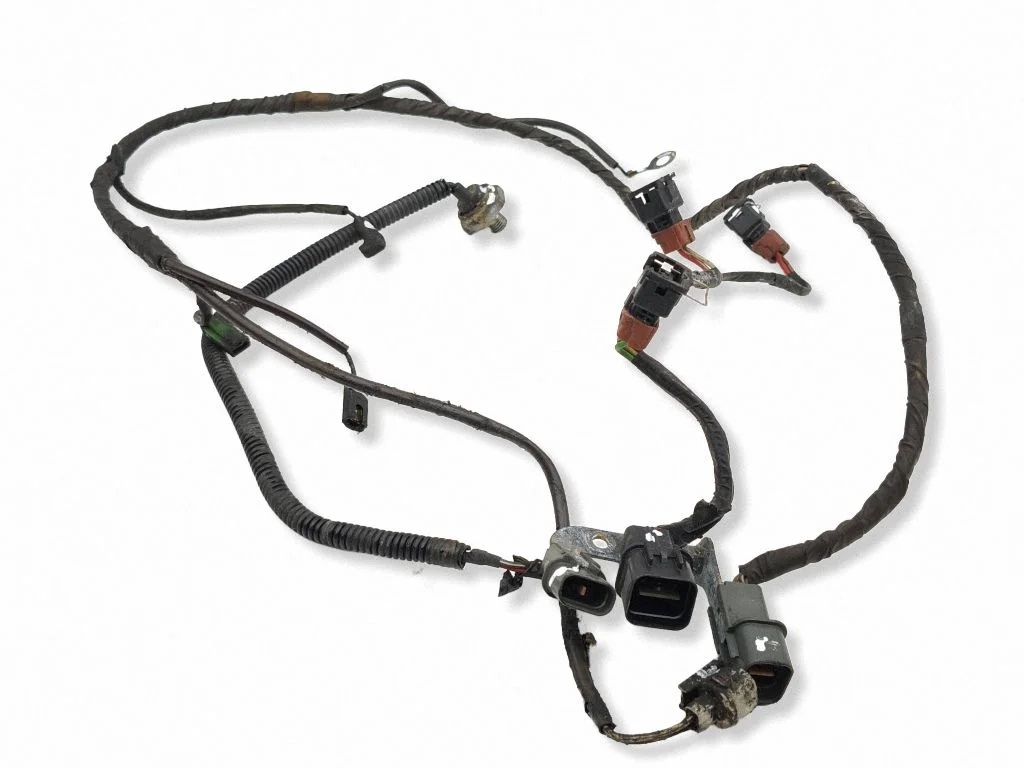 Other wiring loom