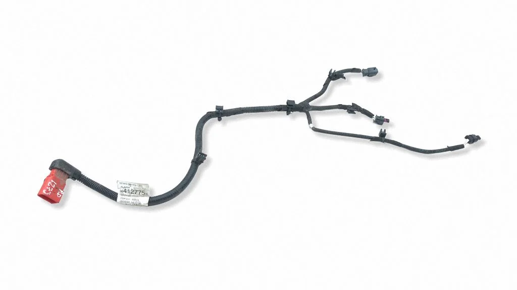 Other wiring loom 9841277580