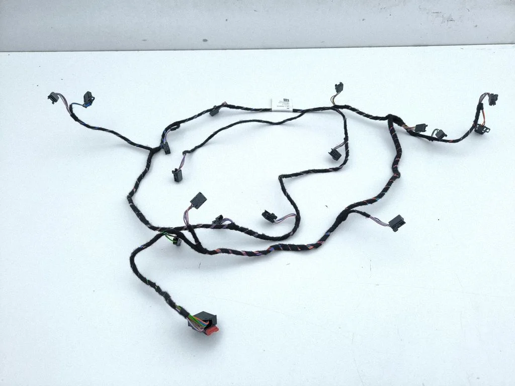 Other wiring loom 971971565B