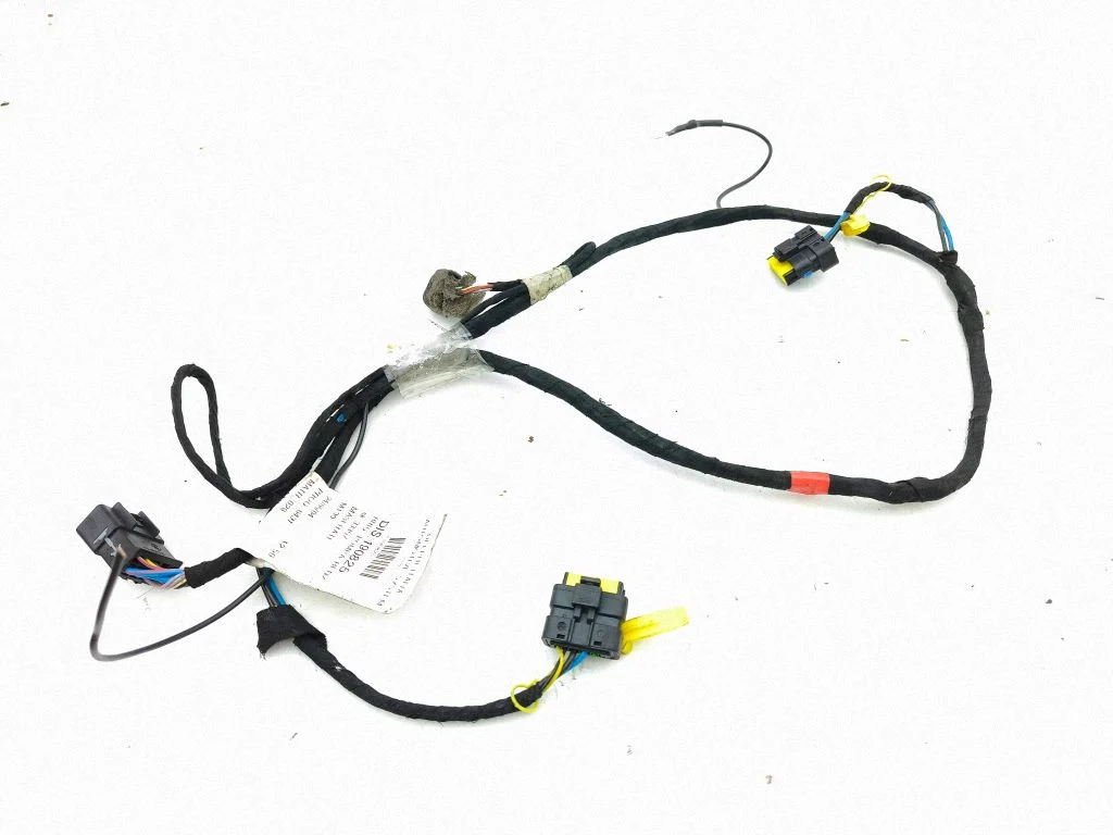 Other wiring loom PA0G6431