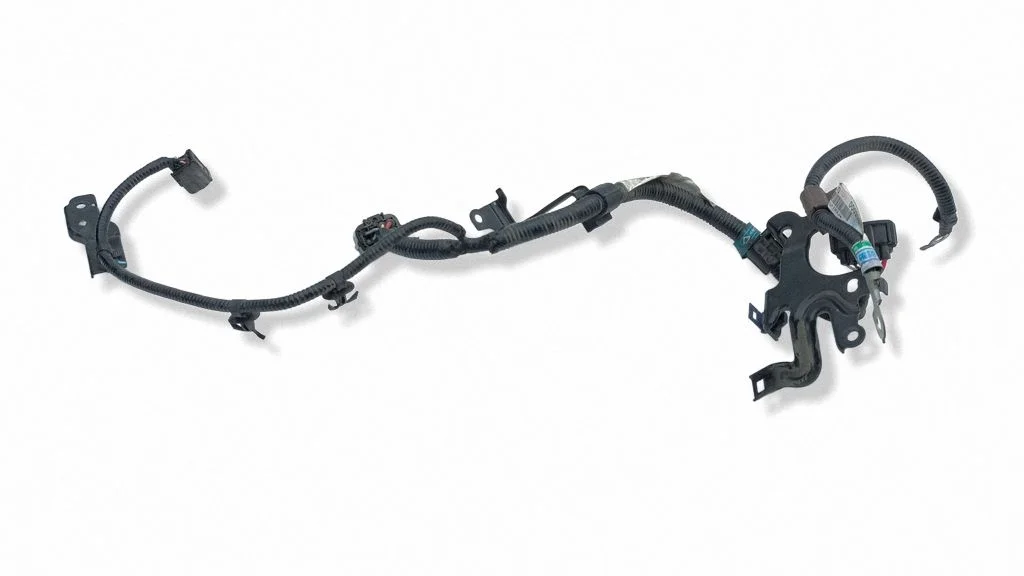 Other wiring loom 289505TAE0001