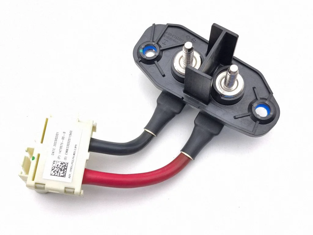 Other wiring loom 109191300F