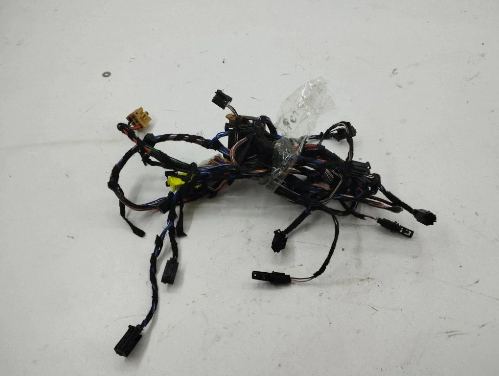 Other wiring loom 0664172