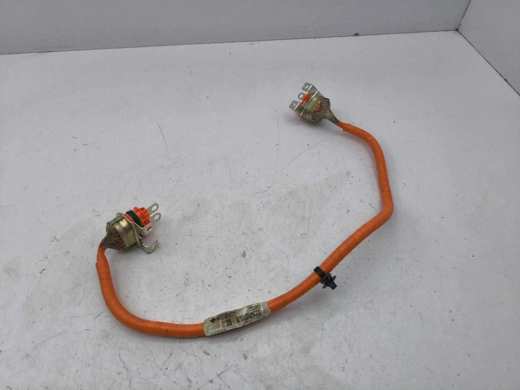 Other wiring loom W309B18771