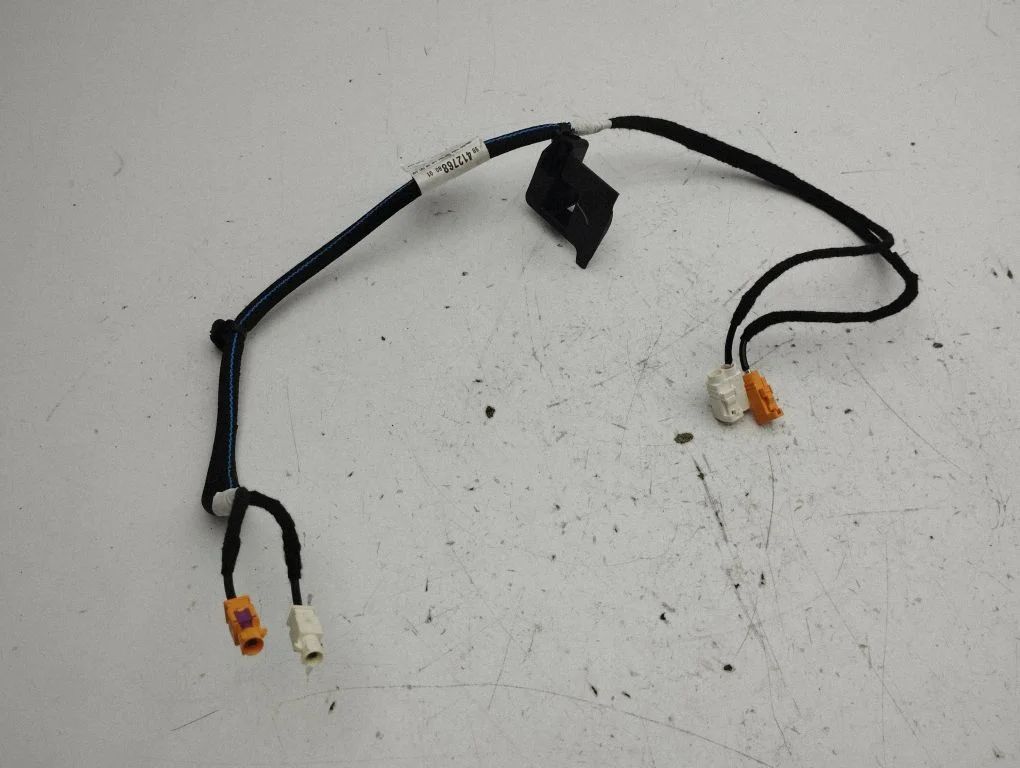 Other wiring loom 9841276880