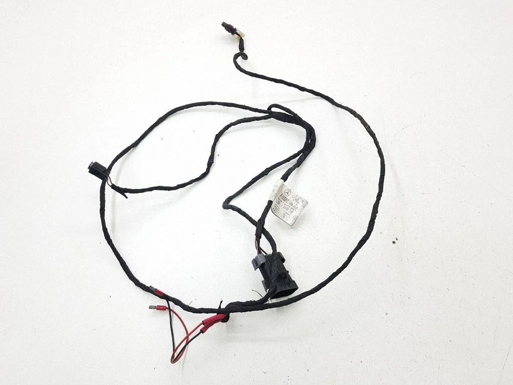 Other wiring loom A1645402525