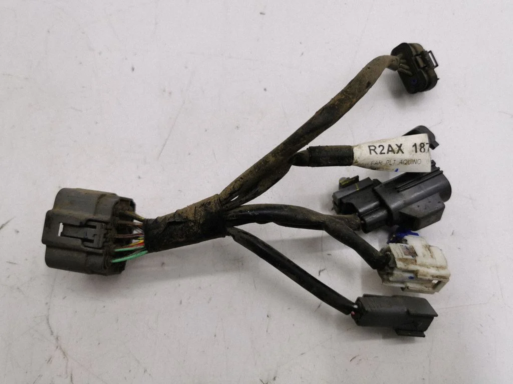 Other wiring loom R2AX18791B