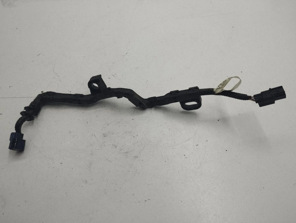 Other wiring loom 32117RZPG000