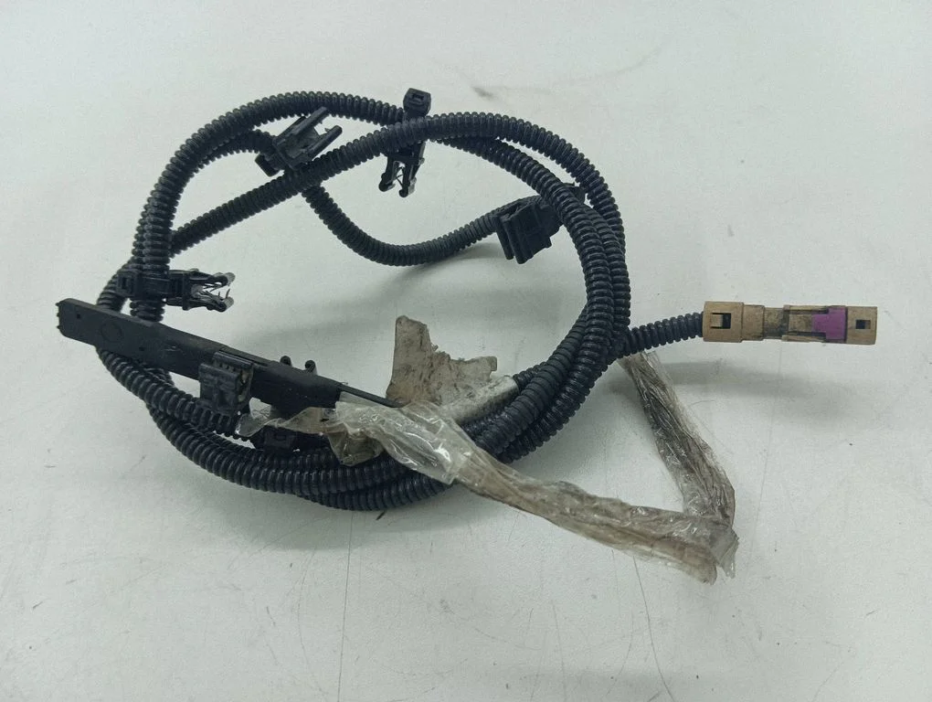 Other wiring loom