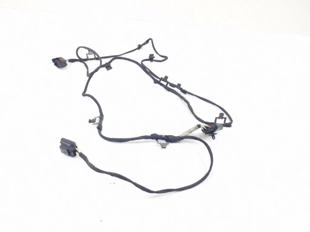Other wiring loom