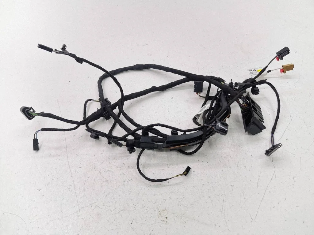 Other wiring loom 575971175A