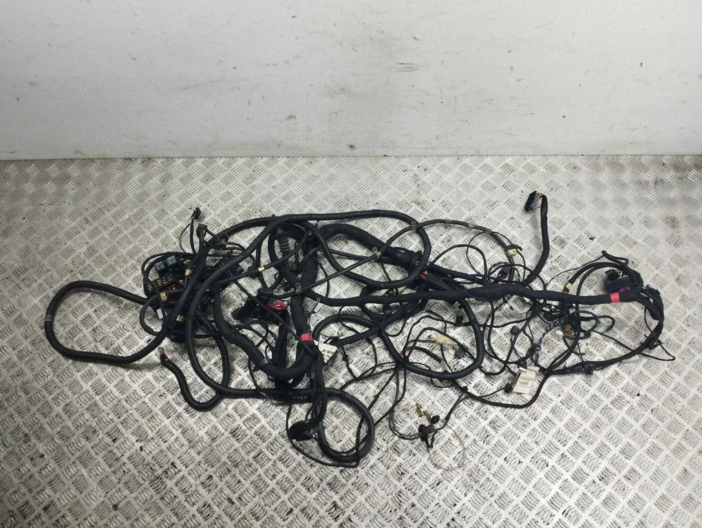 Other wiring loom